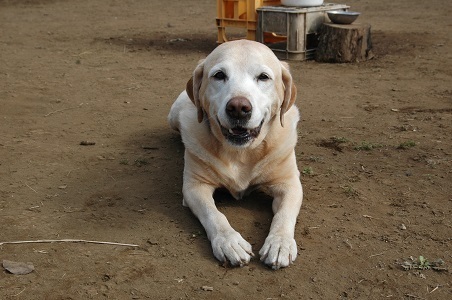 20041608.jpg