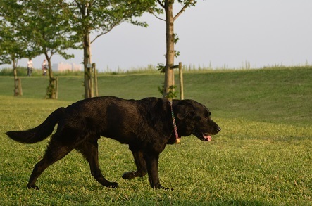 20050202.jpg