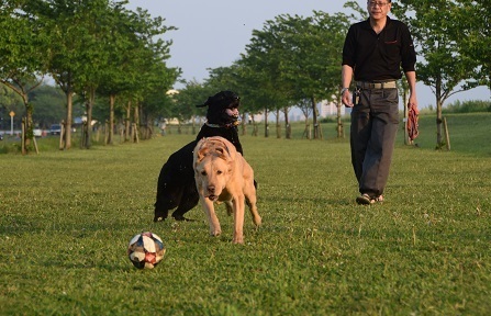 20050203.jpg