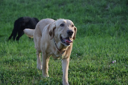 20051705.jpg