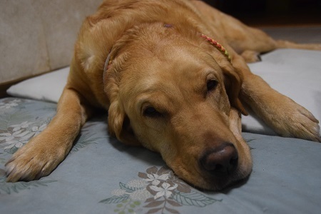 20052202.jpg