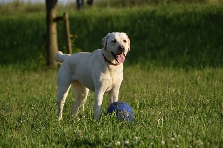 20052301.jpg