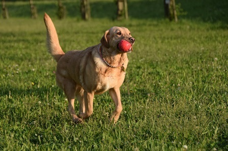 20052305.jpg