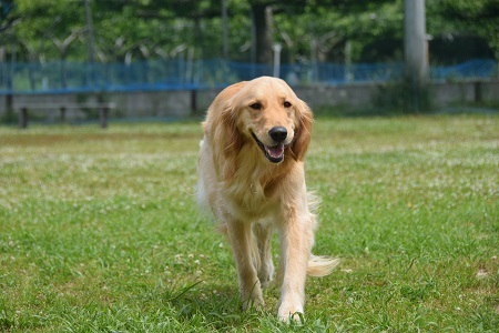 20052814.jpg