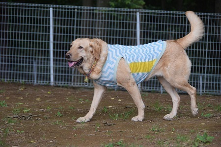 20060409.jpg