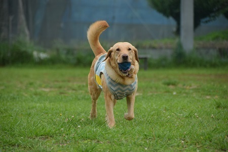 20061807.jpg