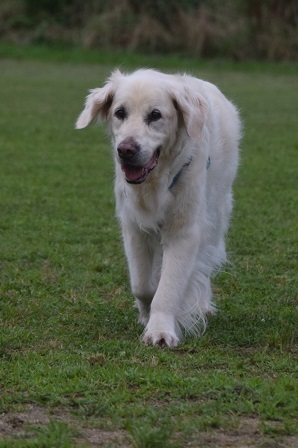 20062714.jpg
