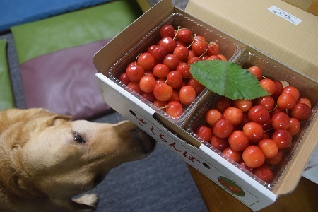 20062806.jpg