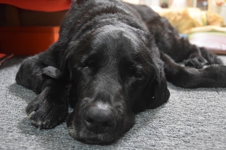 20062915.jpg