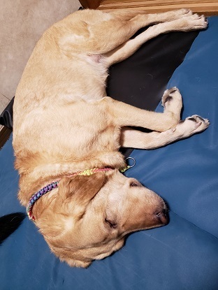 20070802.jpg