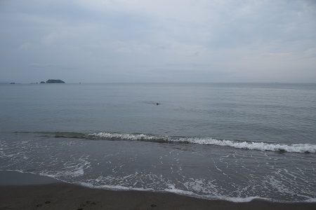 20082811.jpg