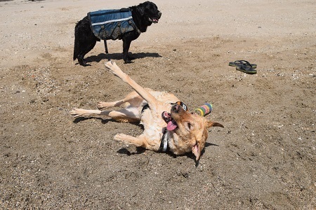 20100511.jpg