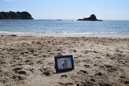 20100515.jpg
