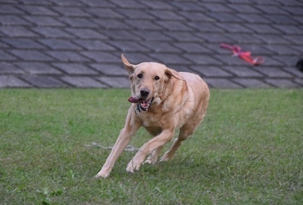 20101903.jpg