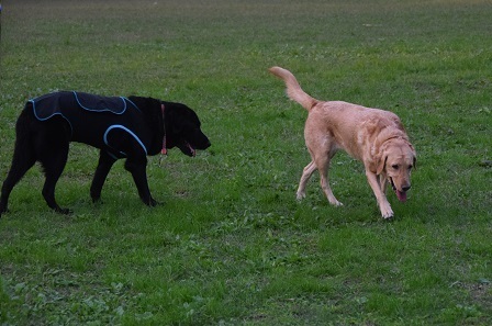 20101909.jpg