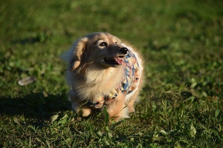 20102508.jpg