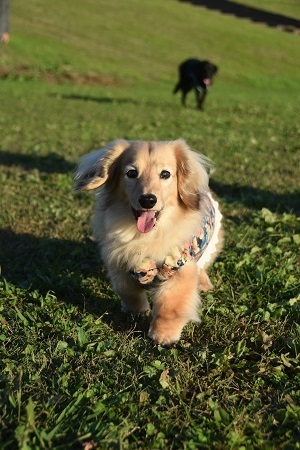 20102509.jpg