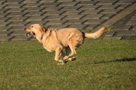 20102510.jpg