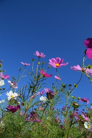 20102604.jpg