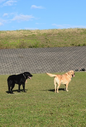 20102607.jpg