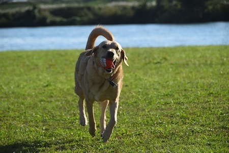 20102612.jpg