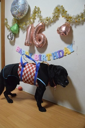 20102802.jpg