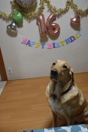 20102805.jpg