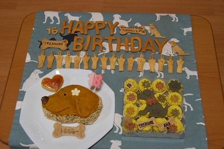 20102807.jpg