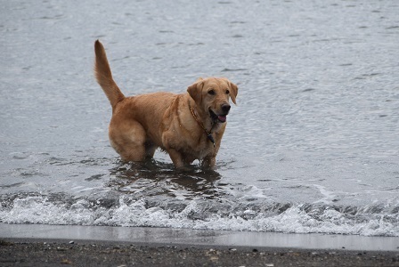 20110202.jpg