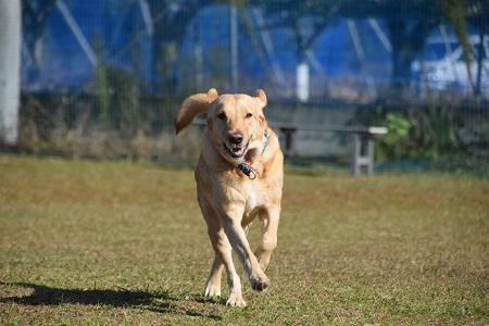20110802.jpg