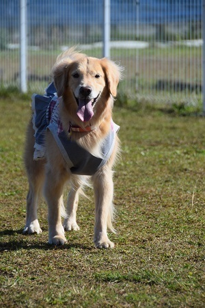20110806.jpg