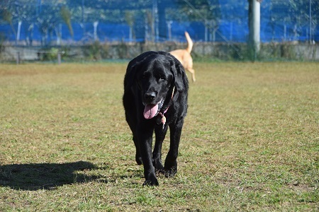 20110807.jpg