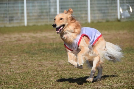 20110811.jpg