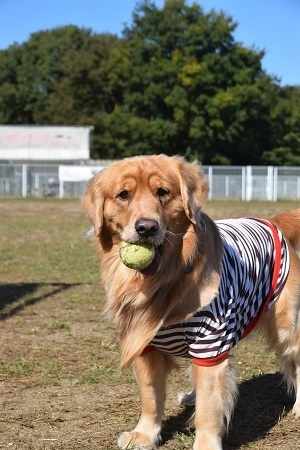 20110813.jpg