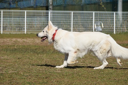 20110820.jpg