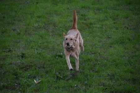 20111101.jpg