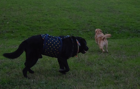 20111102.jpg