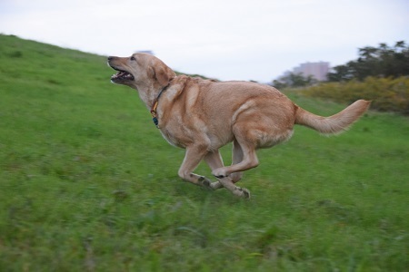 20111103.jpg
