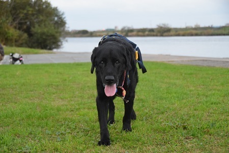 20111107.jpg