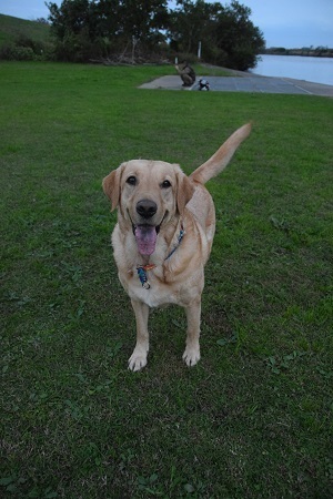 20111108.jpg
