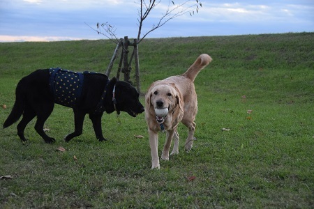 20111119.jpg