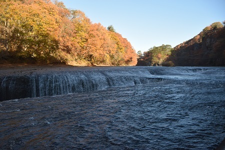 20111403.jpg