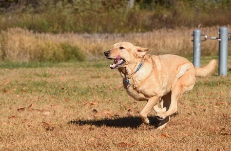 20111407.jpg