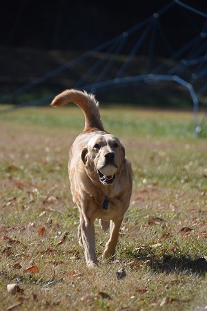 20111412.jpg