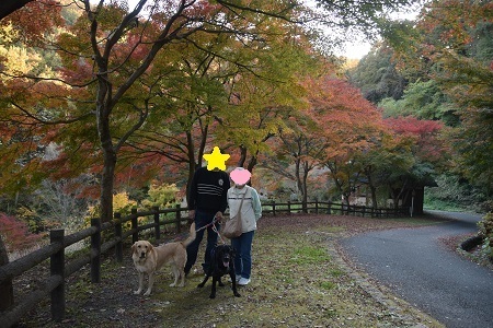 20111421.jpg