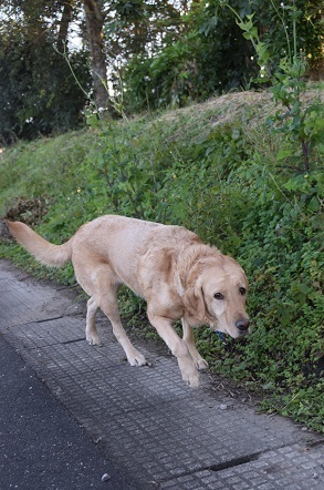 20111601.jpg