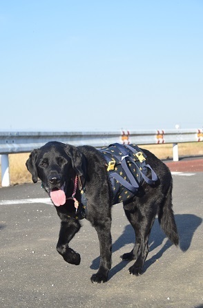 20111603.jpg