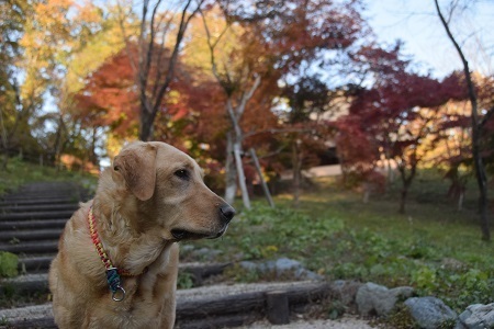 20112004.jpg
