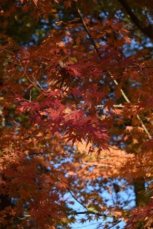 20112007.jpg