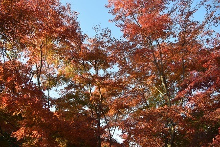 20112011.jpg